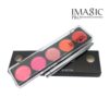 IMAGIC Waterproof Lipstick Palette – Natural Beauty Makeup Set